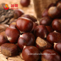 2015 Best fresh wholesale chestnut